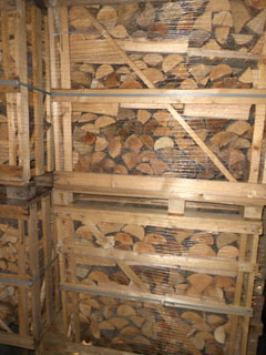 Kaminholz Buche